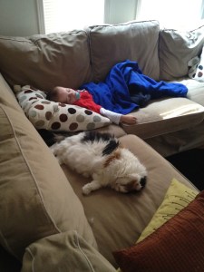 Aiden after his first school visit