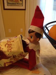 Blizzard eating healthy breakfast.