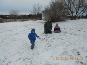Peter, Aiden & Abby in the backyard sledding.