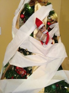 Blizzard TPing our Christmas Tree