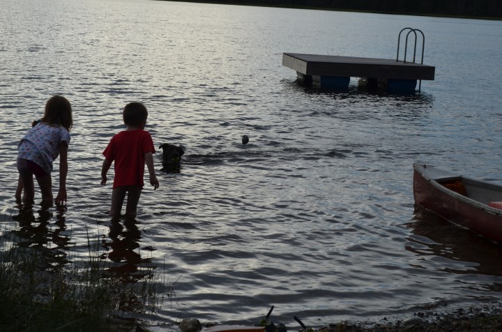 The kids playing ball with the dog