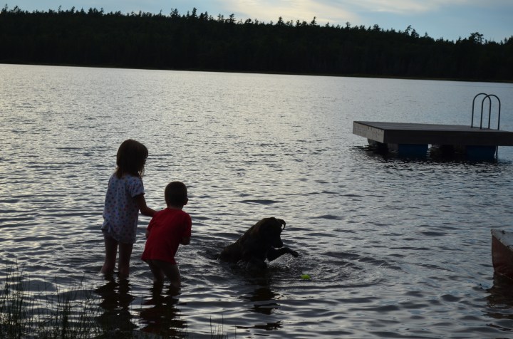 Kids playing with the dog at sunset