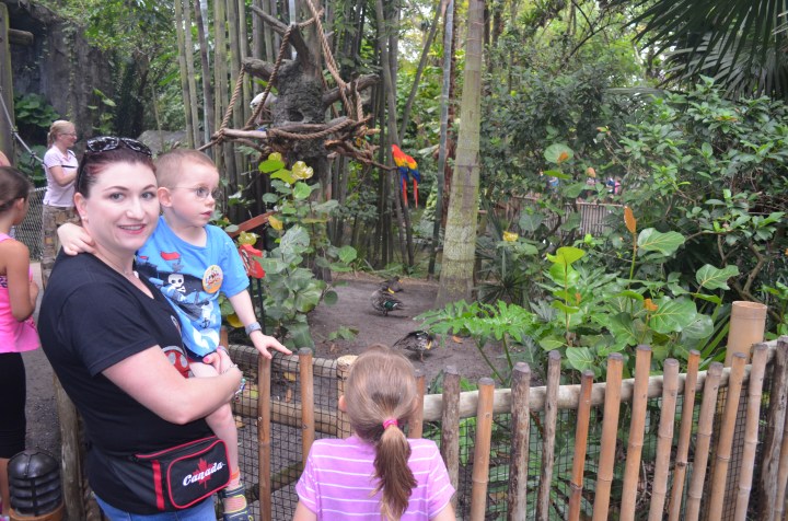 Melissa, Abby and Aiden checking some of the birds
