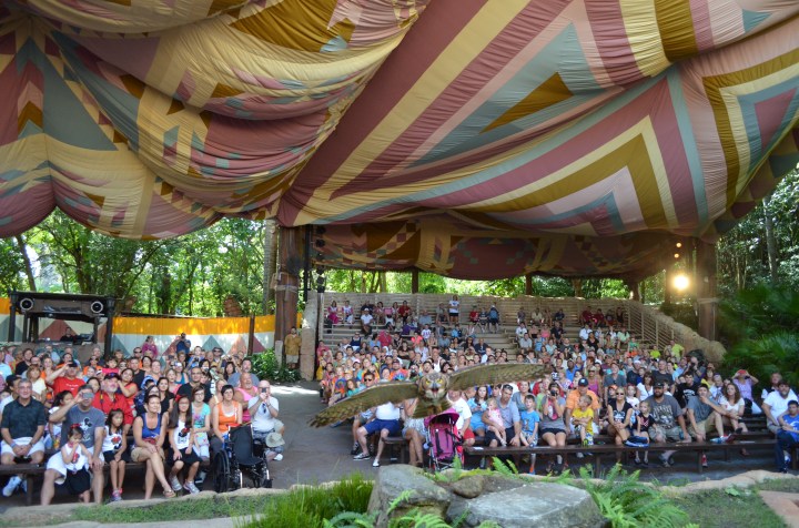 Owl flying right towards me onstage 