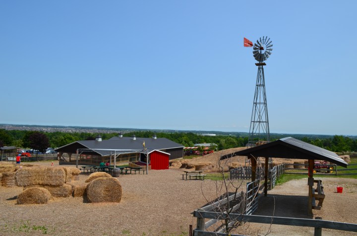 An overview of Springridge Farms