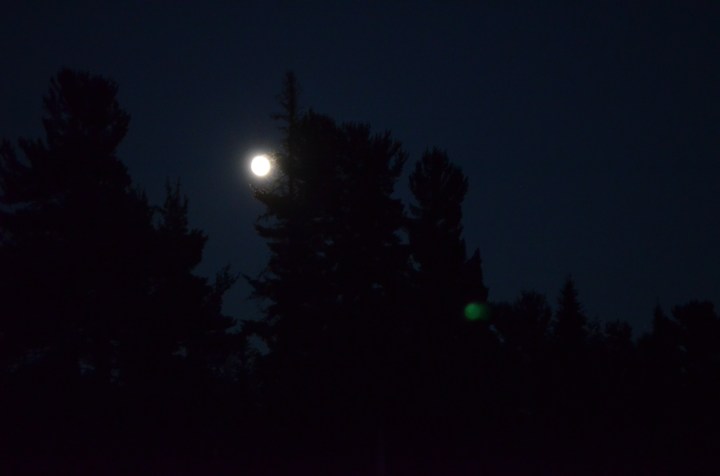 The moon on Fri evening