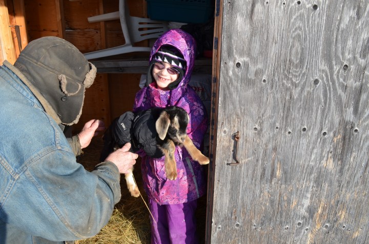 Abby holding a goat with Uncle Joe looking on.