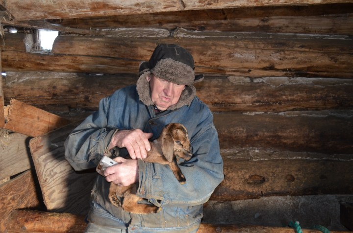 Uncle Joe with a Baby Goat
