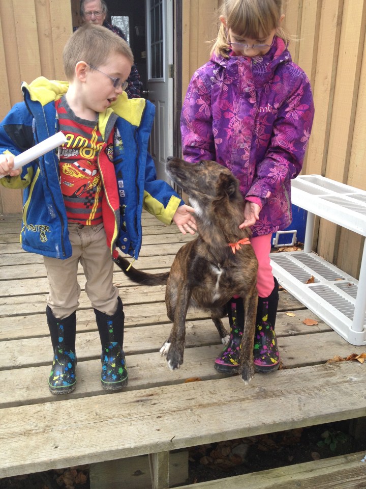 Abby and Aiden playing with Joyce's dog