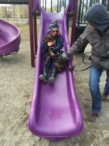 Aiden sliding down the slide with Marley at the park near Shawn & Megan's