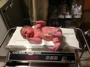 Eva (A few minutes old!!!)