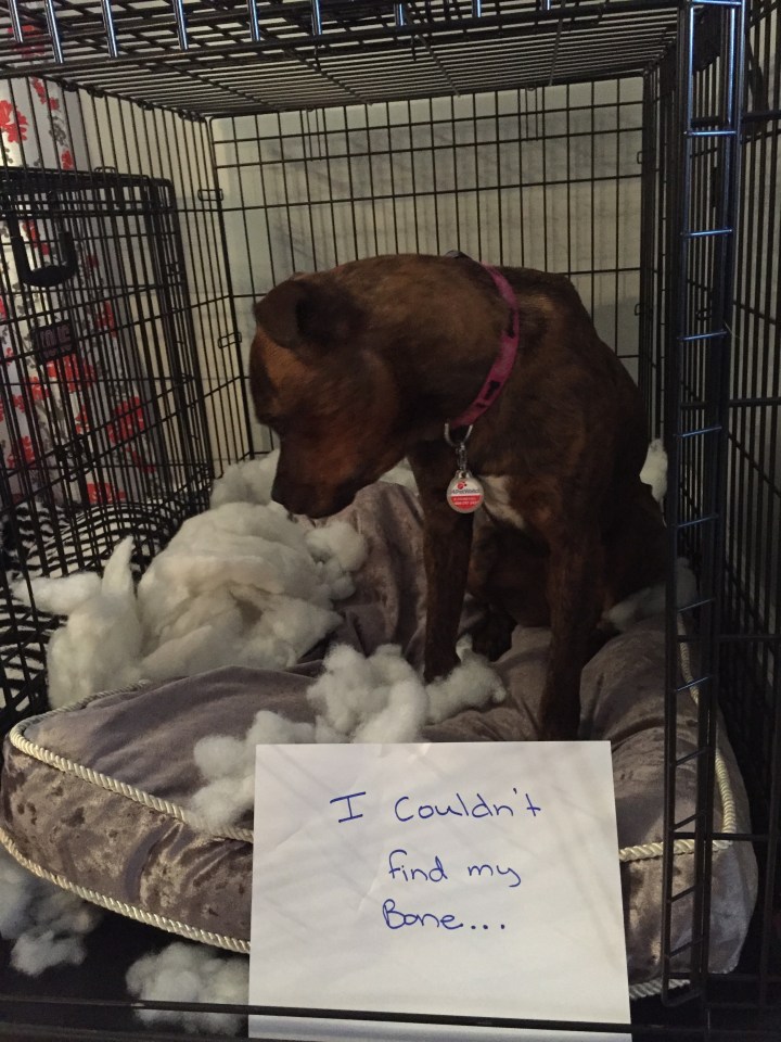 Sign speaks for itself