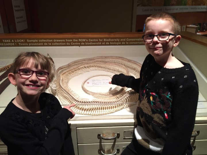 Trip to ROM (Feb 2016)