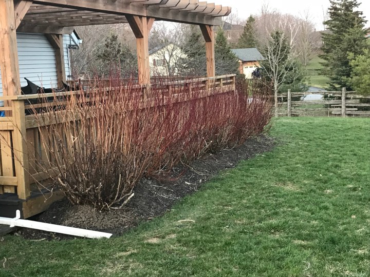 New Home (122 Pinecrest Ave.)