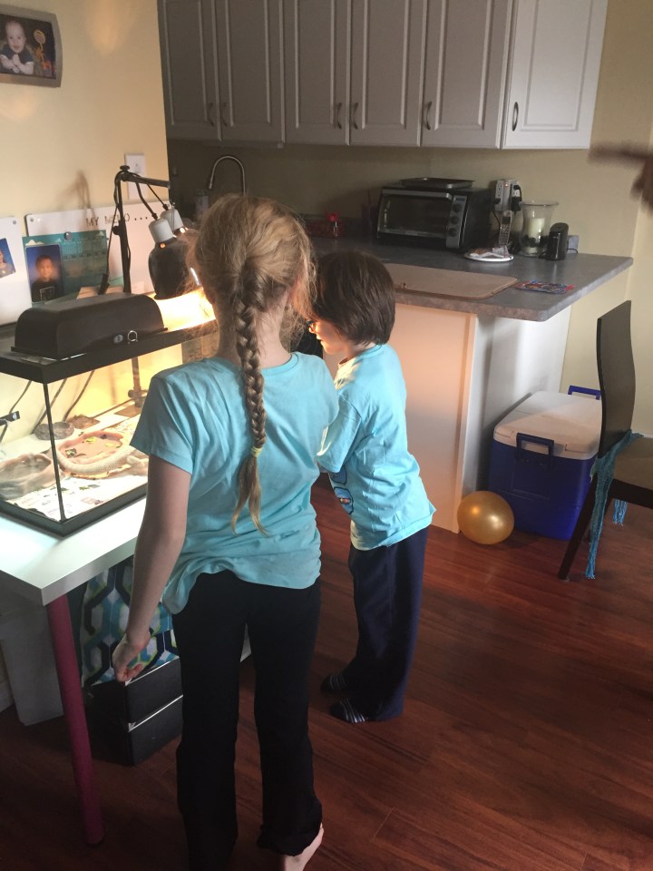 William's 8th Birthday: May 2017